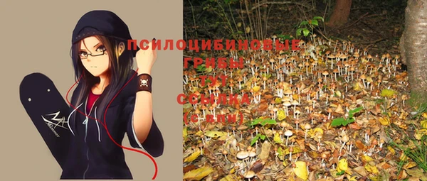 трава Покачи